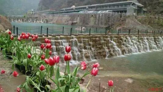 steam买游戏在第三方平台上买上更便宜是真的嘛？可以分享一下都有哪些吗？游戏画面
